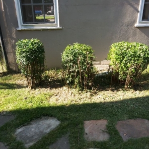 Photo of Joe's LawnCare and Landscaping Solutions