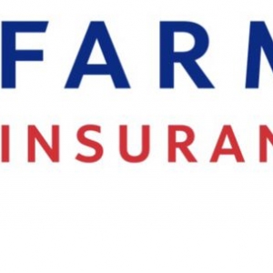 Photo of Farmers Insurance - Elnaz Omrani