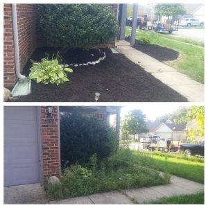 Photo of Indy Lawn Maintenance