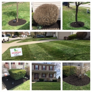 Photo of Indy Lawn Maintenance