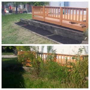 Photo of Indy Lawn Maintenance