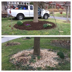Photo of Indy Lawn Maintenance