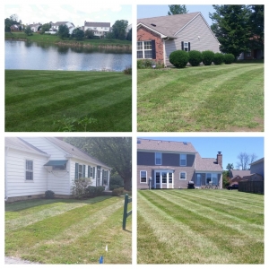 Photo of Indy Lawn Maintenance