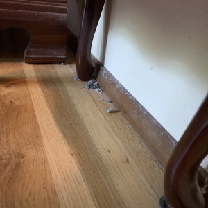 Kent Martinez Cleaning Services