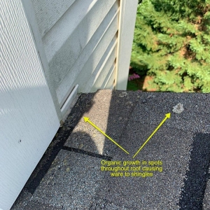 Photo of RoofPRO