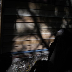 Photo of RoofPRO
