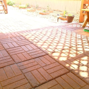 Photo of All N 1 YARDS
