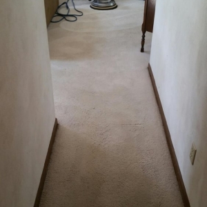Photo of OKZO Carpet Cleaning Services