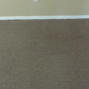 Photo of OKZO Carpet Cleaning Services