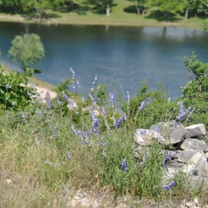 Photo of Lazy Hills Retreat & Conference Center