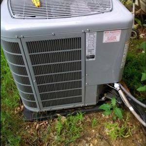 Photo of Bloss Service Replacement
