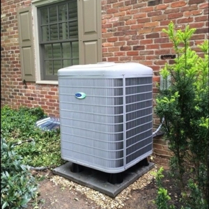 Photo of Bloss Service Replacement