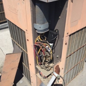 Photo of Bloss Service Replacement