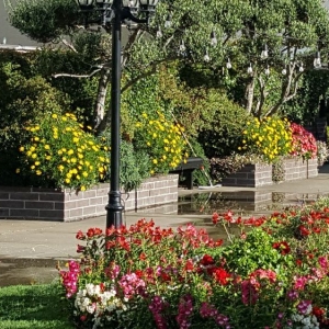 Photo of Jean Pierre Gardening