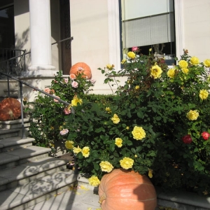 Photo of Jean Pierre Gardening