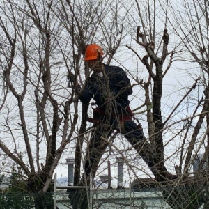 Photo of Jean Pierre Gardening