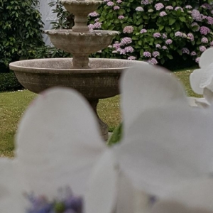 Photo of Jean Pierre Gardening