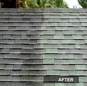 Photo of Mallard Roofing & Exteriors