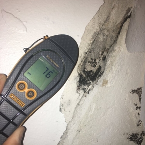 Photo of Certified Indoor Environmental