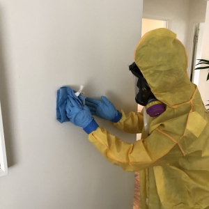 Photo of Certified Indoor Environmental