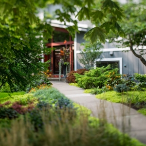 Photo of Phillips Garden