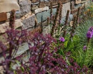 Photo of Phillips Garden
