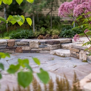 Photo of Phillips Garden