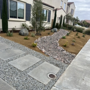 Photo of New Generation Landscape