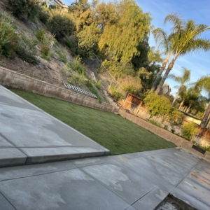 Photo of New Generation Landscape