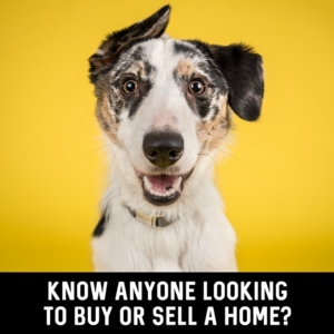 Photo of Jo Parker Realtor