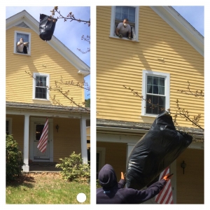 Photo of Junk Removal