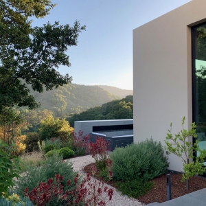 Photo of Arterra Landscape Architects