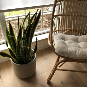 Photo of Austin Hardwood Flooring