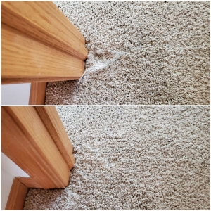 Photo of Clean Bee Carpet, Flooring & Upholstery Care