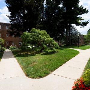 Photo of Montgomery Court