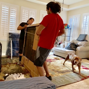 Photo of Toro Moving