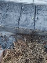 Photo of Elegant Concrete Tools & Materials