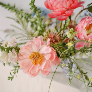 Photo of Wildflower