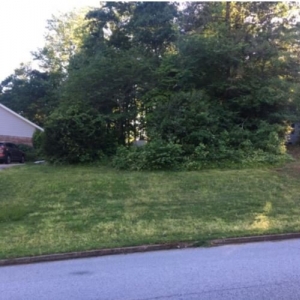 Photo of Just N time Lawn&Car Service's