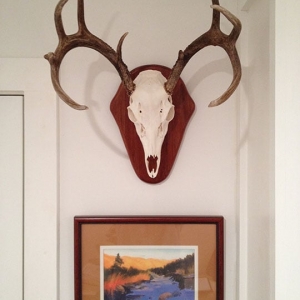 Photo of Handyman Plus Design