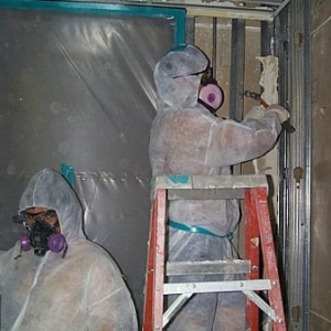 Photo of Bay Area Mold Services
