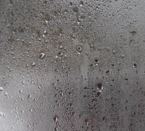 Photo of Bay Area Mold Services