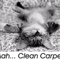 Photo of Lov 'N Kare Carpet Center