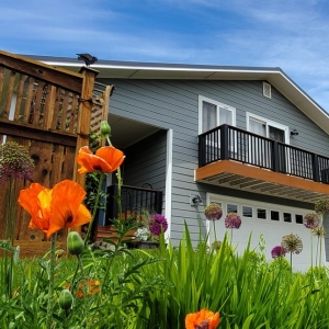 Photo of Polar Bear Exterior Solutions