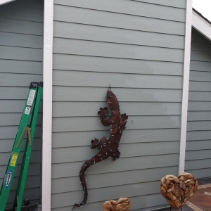 Photo of Tim The Handyman