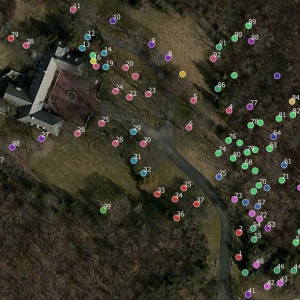 Photo of Planned Forest Solutions