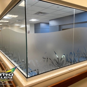 Photo of Nitro Alley Graphix