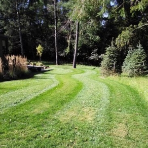 Ypsilanti A Cut Above Lawn Care