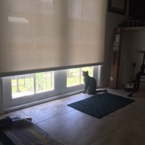 Photo of Just Blinds Miami