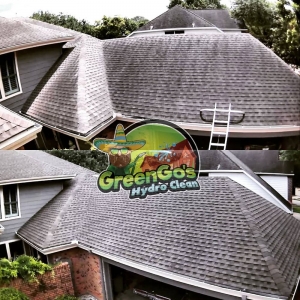 Photo of Green-Go's Hydro- Clean
